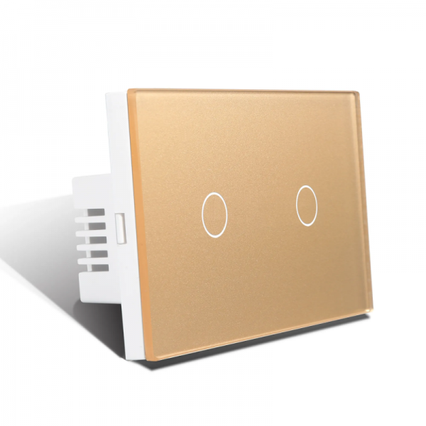 US RF WIFI 2gang smart switch