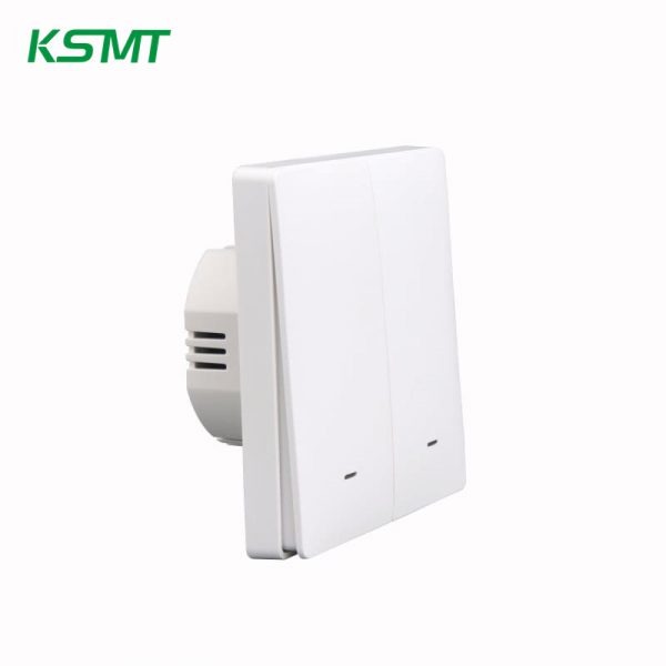 2gang button wifi smart switch