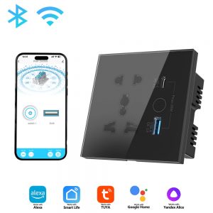 Wifi Smart Walls Plug Socket with USB and Type-c Ports Tuya APP